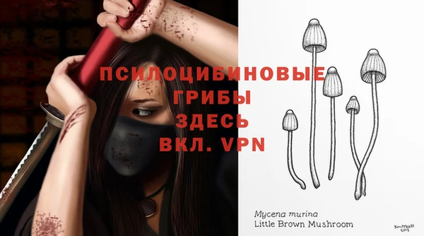 твердый Михайловка