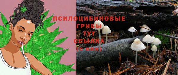 Альфа ПВП Михайловск