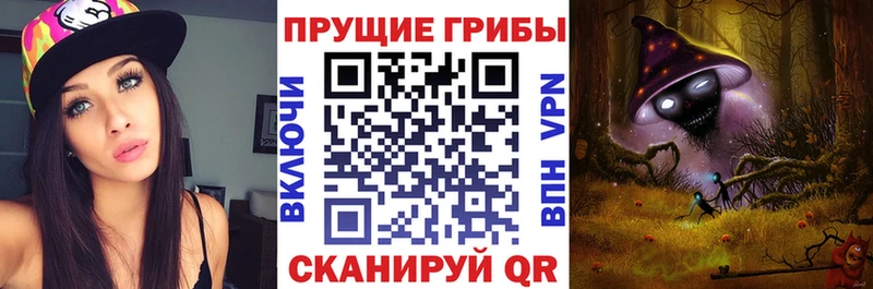 Псилоцибиновые грибы Psilocybe наркошоп Абдулино